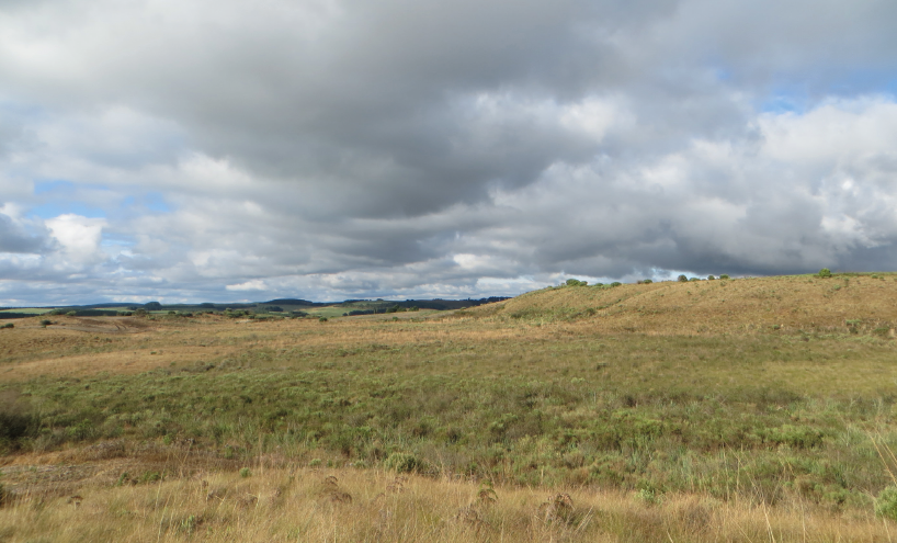 nos-campos-de-palmas-serao-instaladas-100-torres-com-150-metros-de-altura